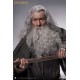 Lord Of The Rings The Fellowship of The Ring Gandalf 1/6 Scale Action Figure